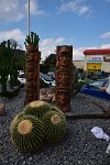 DSC 5385