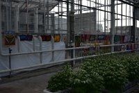 DSC 5667
