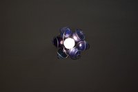 DSC 5671
