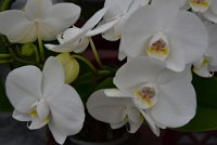 DSC 5773