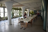 DSC 6981