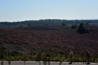 DSC 3600  Posbank
